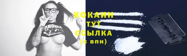 PSILOCYBIN Россошь