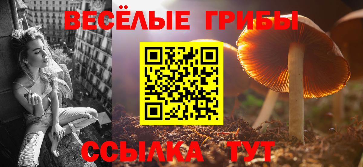 Галлюциногенные грибы Psilocybine cubensis  Псилоцибиновые грибы ЛСД  Вход с VPN  Глазов 