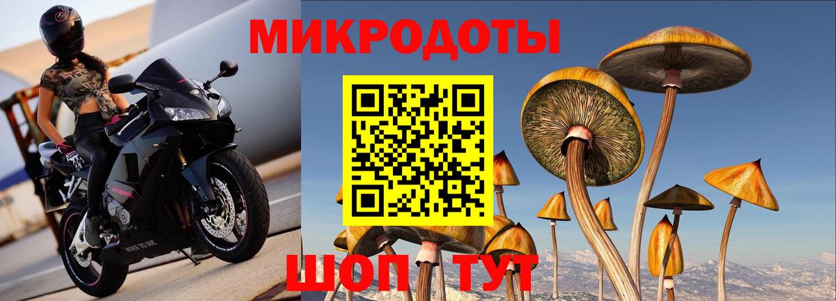 Псилоцибиновые грибы Magic Shrooms Глазов